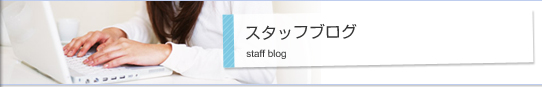 スタッフブログ