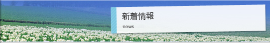新着情報